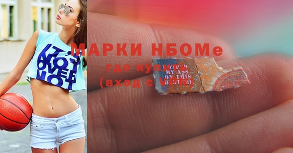 spice Богородск