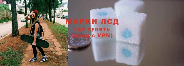 spice Богородск
