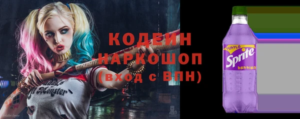 spice Богородск