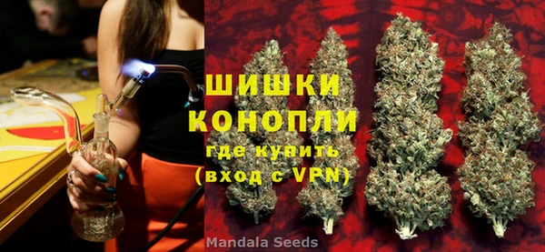 spice Богородск