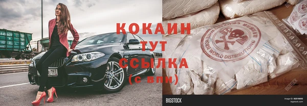 спайс Богданович