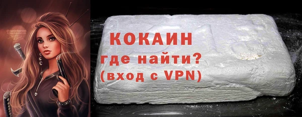 спайс Богданович